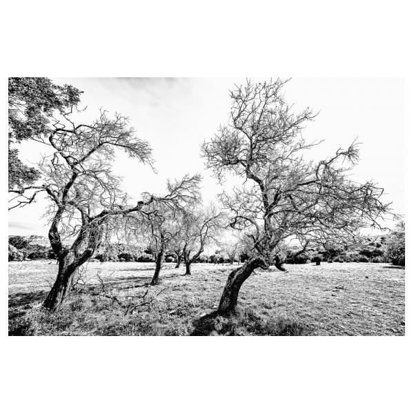 PHOTO84, CLUB, 84 , LUBERON